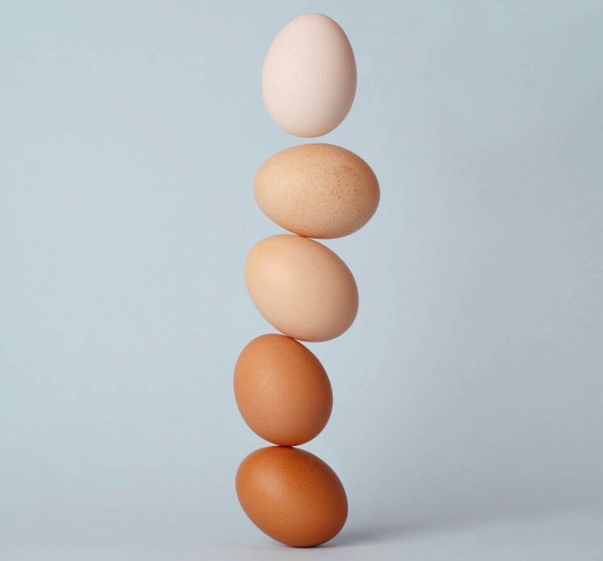 Донорство яйцеклеток, фото